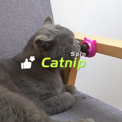 1PC Natural Catnip Cat Wall Stick-on Ball Toy Treats Healthy