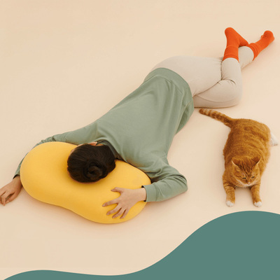 躺岛Labs  猫肚皮枕 记忆棉慢回弹护颈助眠侧睡单人枕 大橘已定