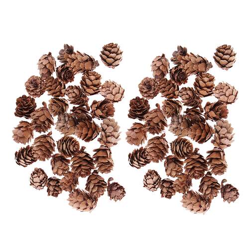 60 Pieces Mini Decorative Pinecone Pine Cones Pinecone For C