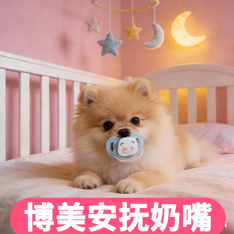 博美专用狗狗安抚奶嘴奶嘴新生断奶睡觉解闷小狗玩具小体幼犬用品,宠物/宠物食品及用品,饮水器/水壶/水头,淘宝优惠券,粉丝福利购,淘宝优惠卷