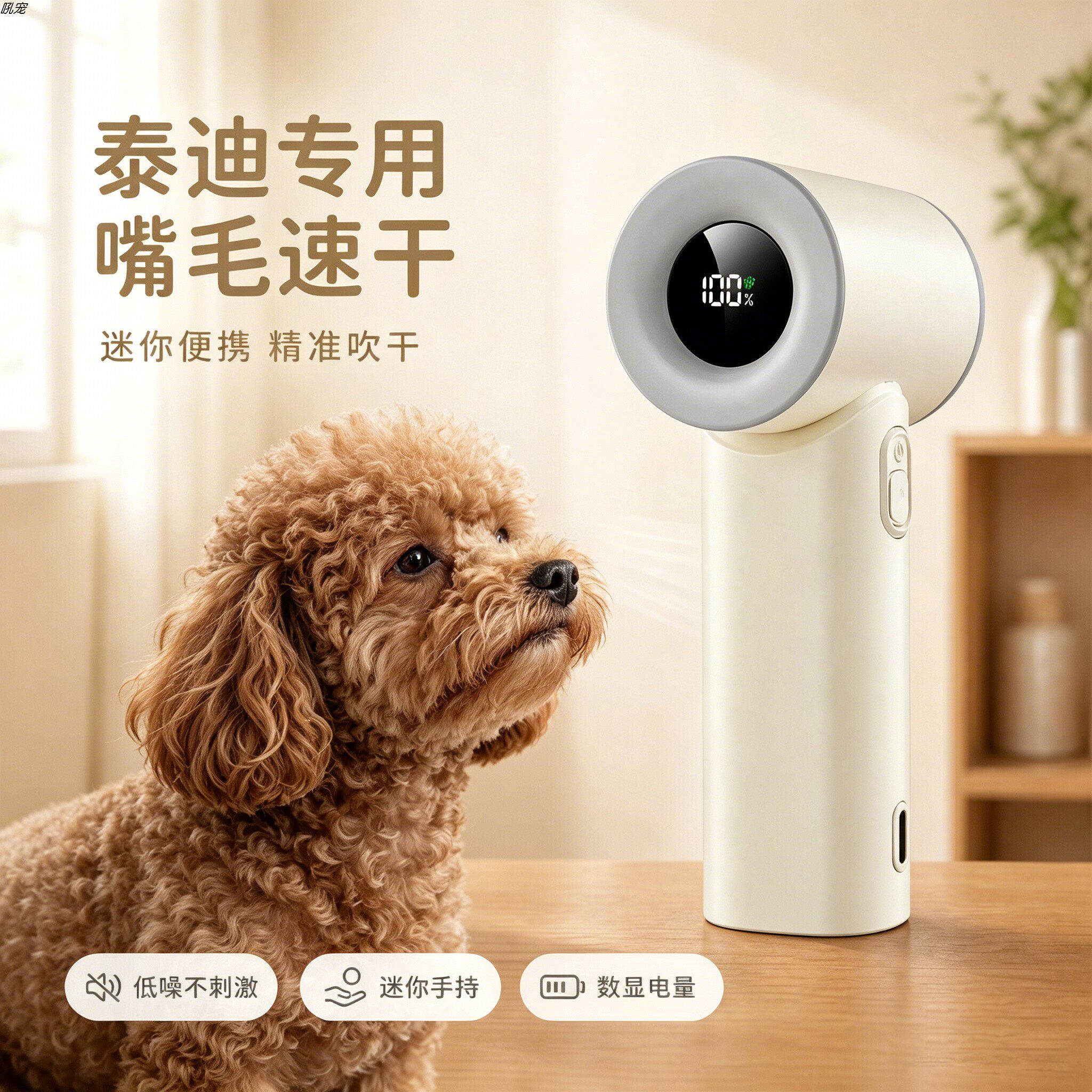 泰迪专用狗狗吹嘴毛吹风机小狗面部嘴毛吹毛机宠物狗小型犬洗澡用