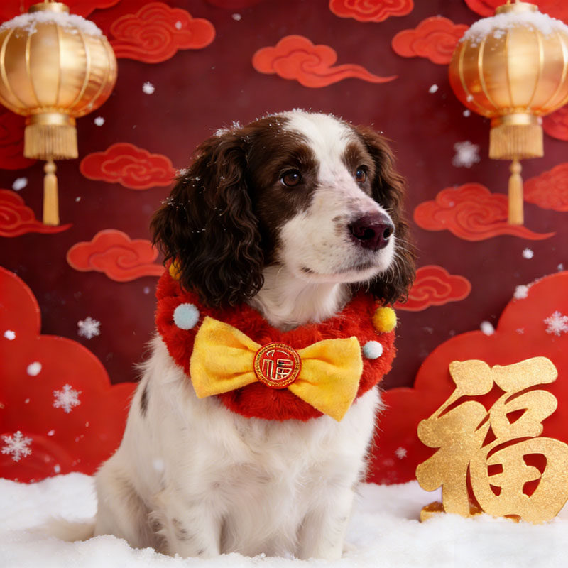 史宾格专用狗狗新年围脖过年红色喜庆围巾宠物装饰品大狗围兜春节,宠物/宠物食品及用品,围巾/口水巾,淘宝优惠券,粉丝福利购,淘宝优惠卷