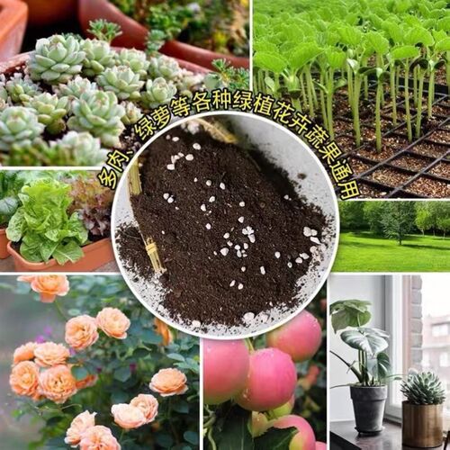 Potting soil organic soil, succulent soil, vegetable soil