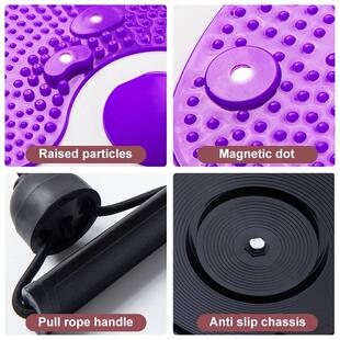 Waist Twister Turntable Balance Board Core Abs Twister Board