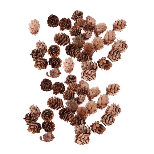 60 Pieces Mini Decorative Pinecone Pine Cones Pinecone For C