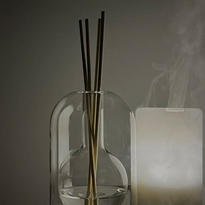 Aromatherapy bottle glass essential oil Aroma Reed Diffuser