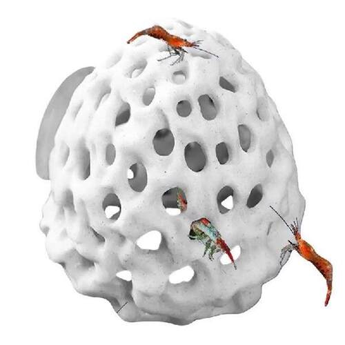 Irregular Aquarium Decoration Ornament Fish Shrimps Shelter
