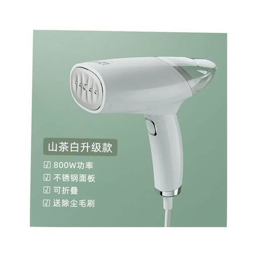 Handheld Steamer Portable Steam Electric iron 220V 1000W