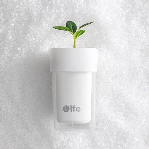 Couple Bathroom Wash Cup Set Portable Toothbrush Storage Kit