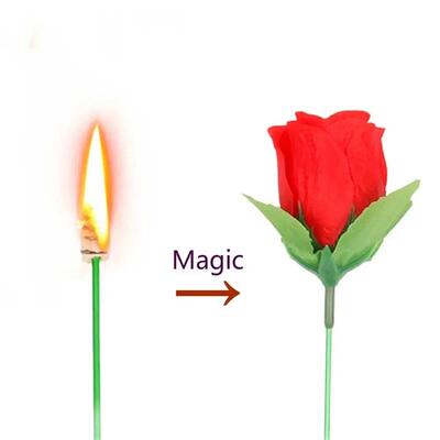 Magic Trick Rose Fun Present Torches Change Roses Magic Tric