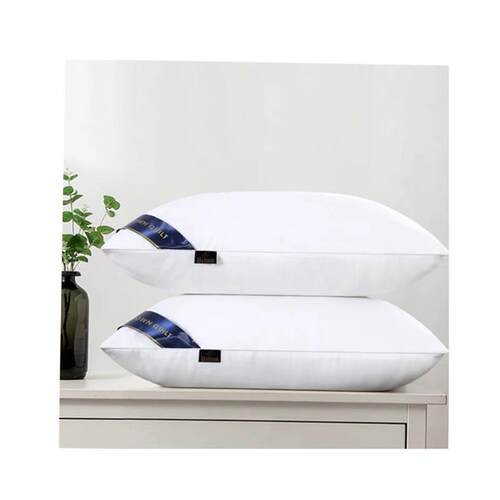 枕头 2pcs sleeping pillow bed set  health care big double