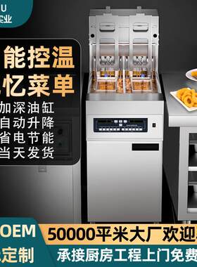 电炸炉商用摆摊大容量炸鸡薯条炸串油炸锅多功能加厚油锅厨房设备