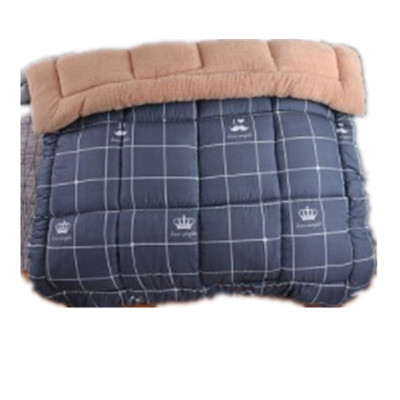 Winter Super Warm Flannel Comforter Duvet Quilt Blanket beds