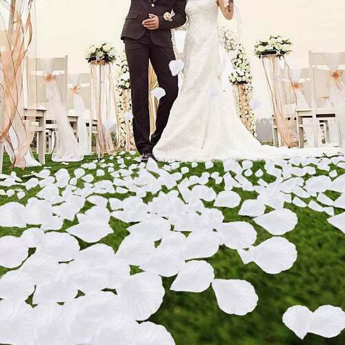 1000/3000pcs Colorful Artificial Rose Petals Wedding Petalas