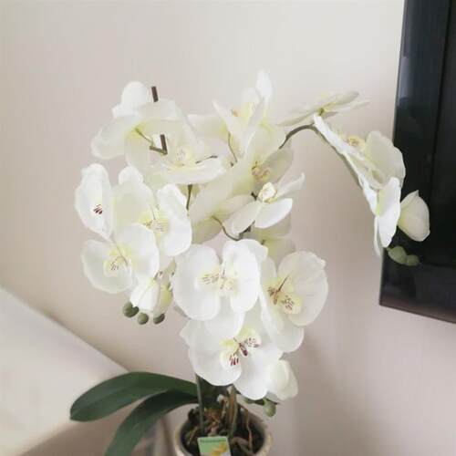 Artificial Silk White Orchid Flowers High Quality Butterfly