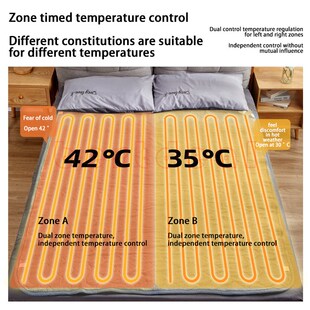AUX electric blanket bed Heated Blanket smart control 电热毯