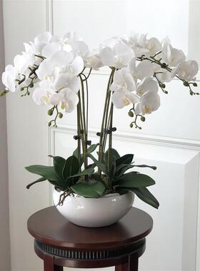 Latex 9-Heads Artificial Butterfly Orchid  25 Colors  Large