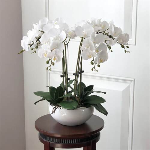 Latex 9-Heads Artificial Butterfly Orchid  25 Colors  Large