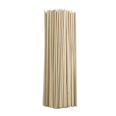 50 PCS Natural Wood plant sticks Wooden Popsicle Stick Ho