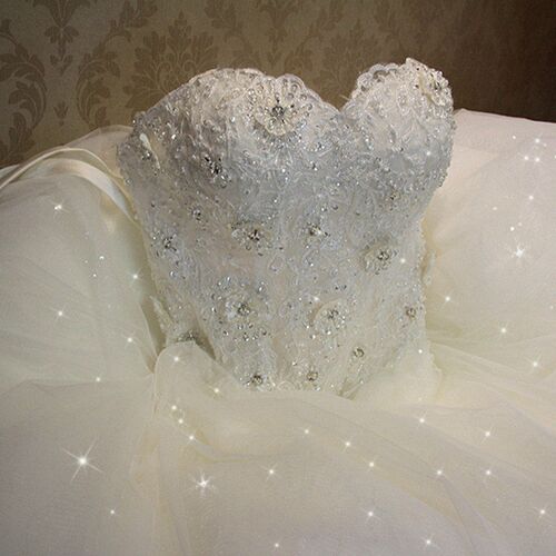 Elegant Luxury Lace Wedding Dress 2023 Vintage Plus Size Bal