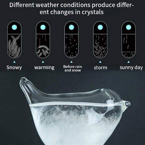 Storm Glass Weather Station Bird Shape Storm Glass Weather