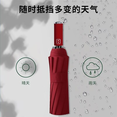 Strong Wind Resistant 12K Automatic Umbrella Rain Women Wi