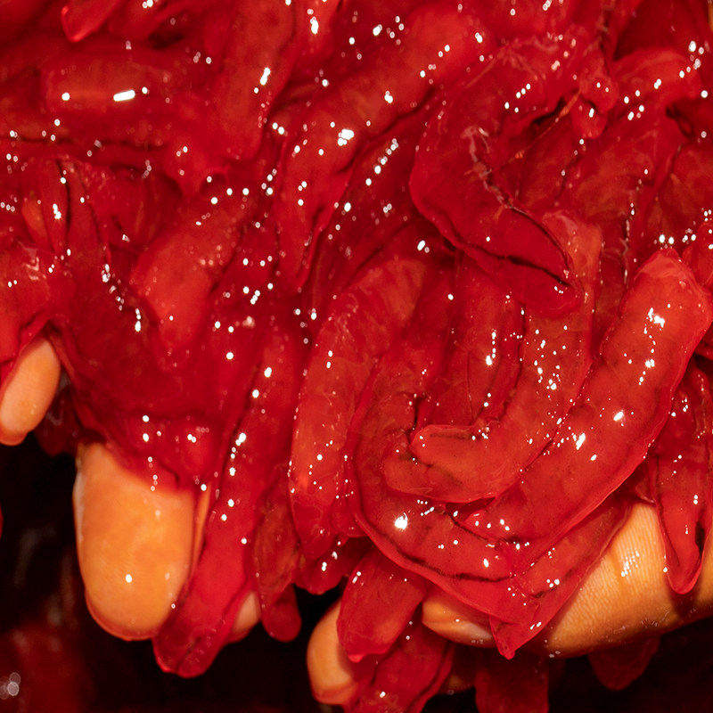 海钓鱼饵野钓钓鱼矶钓黑鲷秘制蜜汁虾仁诱饵腌制饵料窝料船钓海鱼,户外/登山/野营/旅行用品,台钓饵,淘宝优惠券,粉丝福利购,淘宝优惠卷