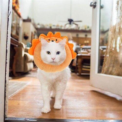 Adjustable Cat Recovery Collar Anti Licking Neck Cone for