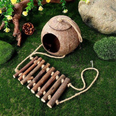 Cave Reptile Tank Accessory Decor Lizard Habitat Gecko