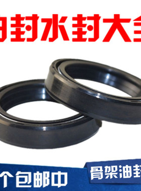 骨架油封 70x100x10 70x100x12 72x100x12 75x100x10 75x100x12