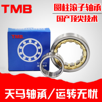 天马TMB轴承NNUJRPF221