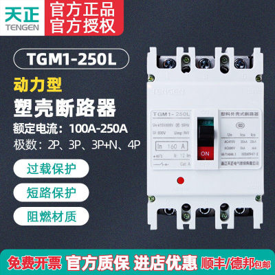 天正TGM1-250L/33002电动机保护塑壳断路器 空气开关200A160A250A