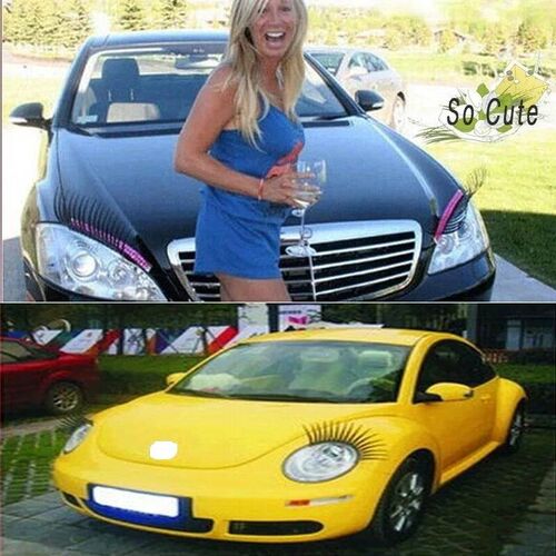 3D Charming Black False Eyelashes Fake Eye Lash er Car Headl