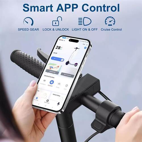 LP60 Electric Scooter 350W 25km/h APP Smart Control Scooter
