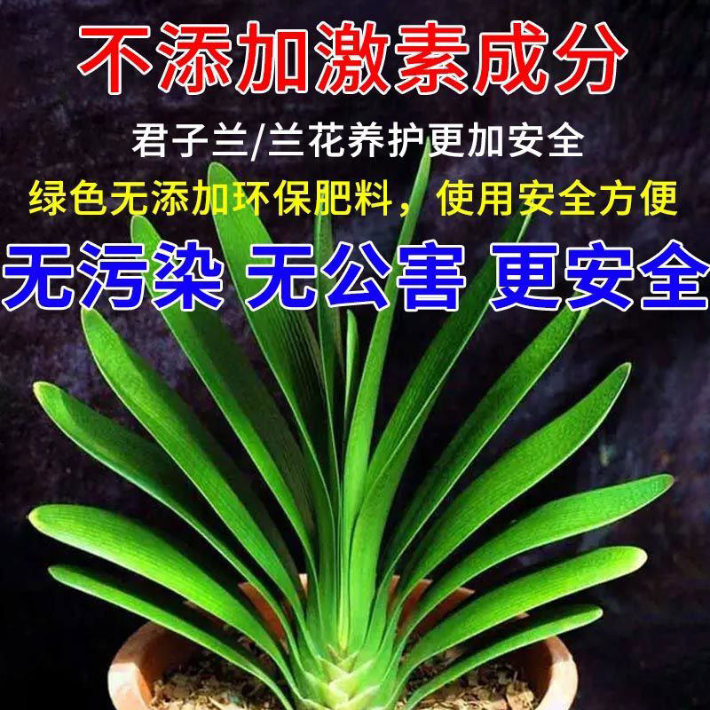 君子兰黄叶病专治叶子发黄腐叶黑斑烂根药杀菌免稀释营养液体肥料
