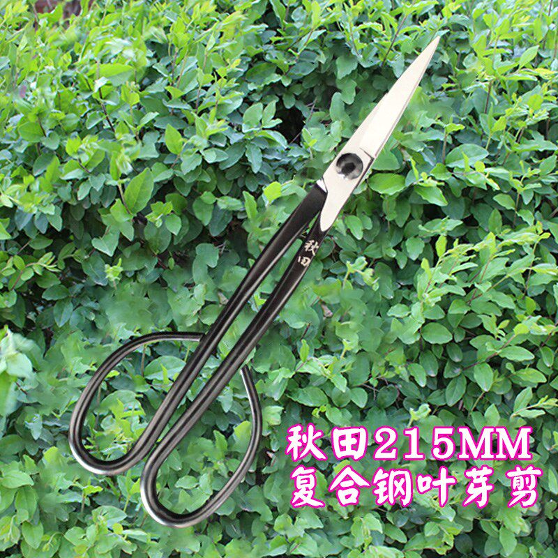 精品秋田叶芽剪盆景造型制作工具细枝嫩芽修剪松针整理兰花分苗
