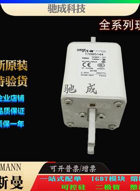 巴斯曼170M5144 170M5145 170M5146 经销零售 原装熔断器