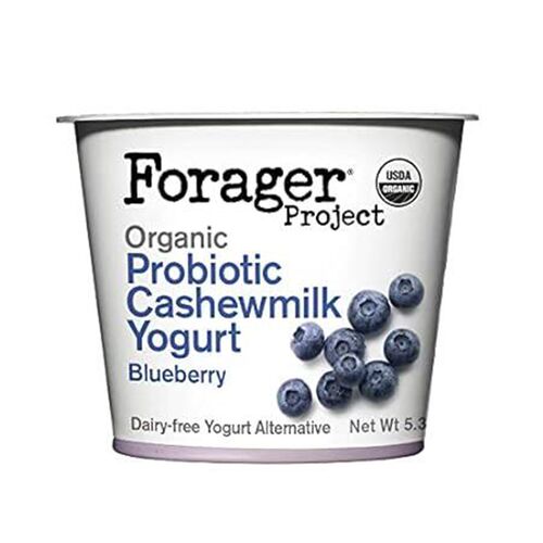 Forager Project Cashewmilk Yogurt, Blueberry, 5.3-Ounce