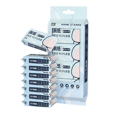 Flushable and biodegradable wet wipes for home use, availabl