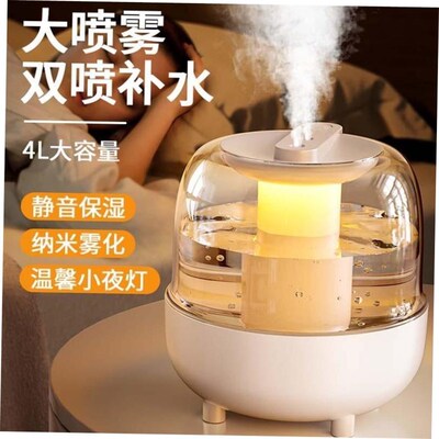 USB large capacity silent humidifier dual spray Aromatherapy