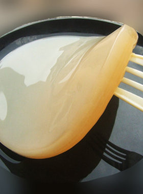 正宗红茶菌母菌海宝胃宝醋蛾子母醋水果酵素菌种 Kombuch Scoby