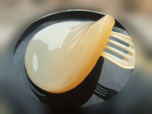 正宗红茶菌母菌海宝胃宝醋蛾子母醋水果酵素菌种 Kombuch Scoby