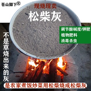 大理苍山脚下农家烧松柴灰草木灰有机肥料钾肥种花种菜杀虫防病虫