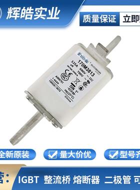 170M3813 14 15 16低压快速熔断器 压熔断器 电子元器件