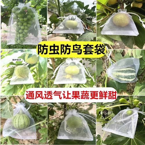 水果套袋防鸟防虫专用无纺布袋葡萄无花果枇杷芒果袋草莓保护袋子