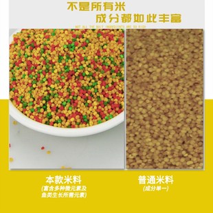 山西神聚酒米药米打窝米野钓黑坑鲫鱼鲤鱼散炮窝料麦味署味鱼饵料