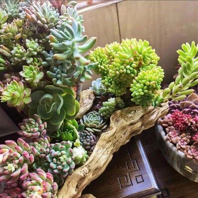 Artificial Driftwood Planter Sculpture Container for