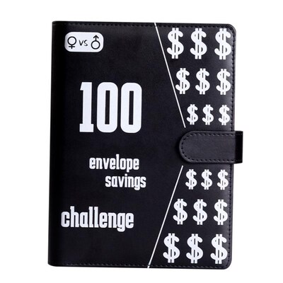 100Envelope Challenge Binder money saving book cash budget