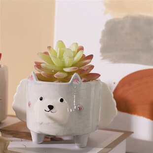 Cute Hedgehog Rabbit Ceramic Flowerpot Succulent Planter