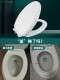 lid toilet 马桶盖家用通用加厚坐便盖板马桶圈盖子Toilet seat